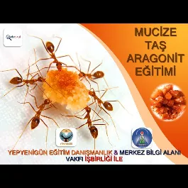 Mucize Taş Aragonit İle Tanışın!