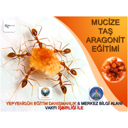 Mucize Taş Aragonit İle Tanışın !