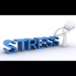 Stres Yönetimi Eğitimi