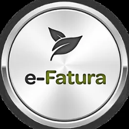 E-fatura Düzenleme Semineri